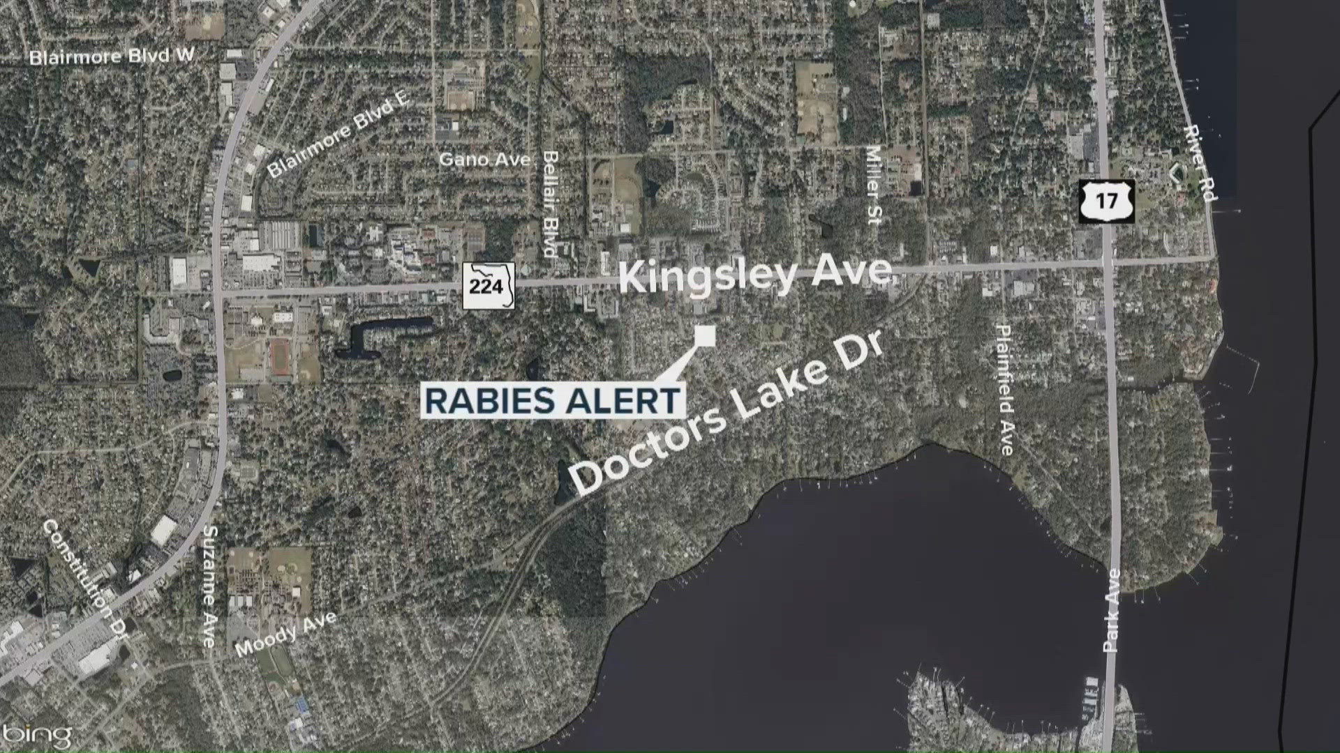 Bat infestation forces St. Marys Elementary to extend relocation for ...