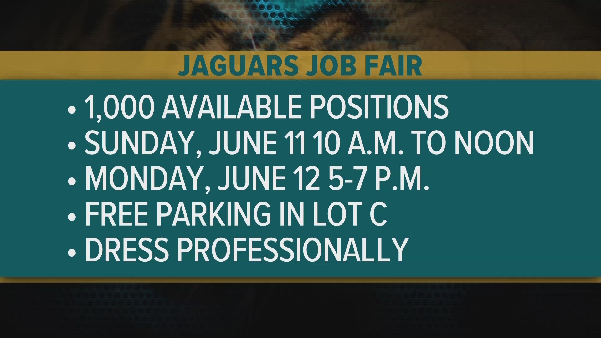 Jaguars Careers  Jacksonville Jaguars 