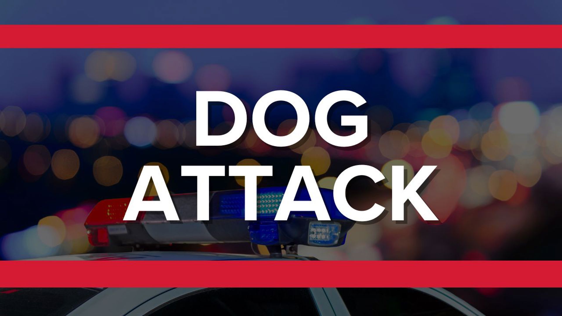 The St. Johns County Sheriff's Office is seeking information after the agency says a man and his dog were attacked by five "unleashed dogs" on Ponte Vedra Beach.