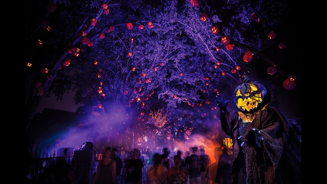 First Coast News wants to send you to Universal Orlando's Halloween  Horror Nights
