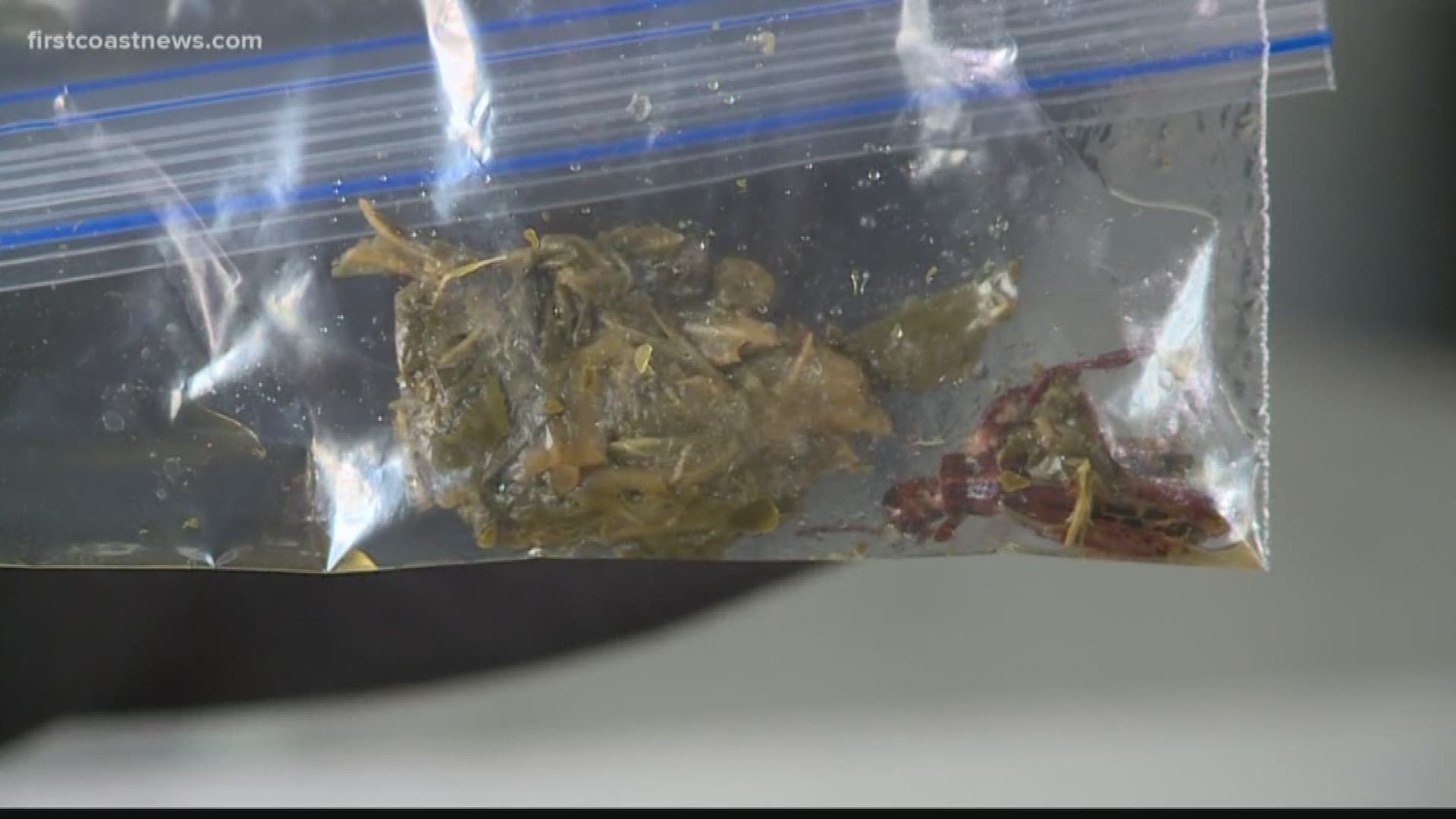 A woman told First Coast News she found a roach in the food she ordered from Bono's Pit Bar-B-Q in Jacksonville.