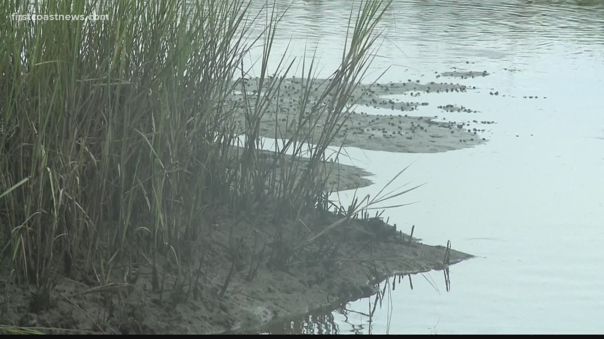 One resident says he did not experience flooding during Hurricanes Matthew and Irma, so he is not worried about storm surge from Isaias.