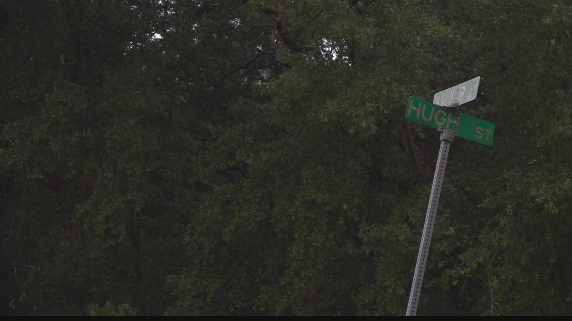 Interlachen Postal Worker Attacked By Dogs After Car Broke Down Has   C5a0a381 2c3e 4725 9d5f 6075b1cda694 1920x1080 