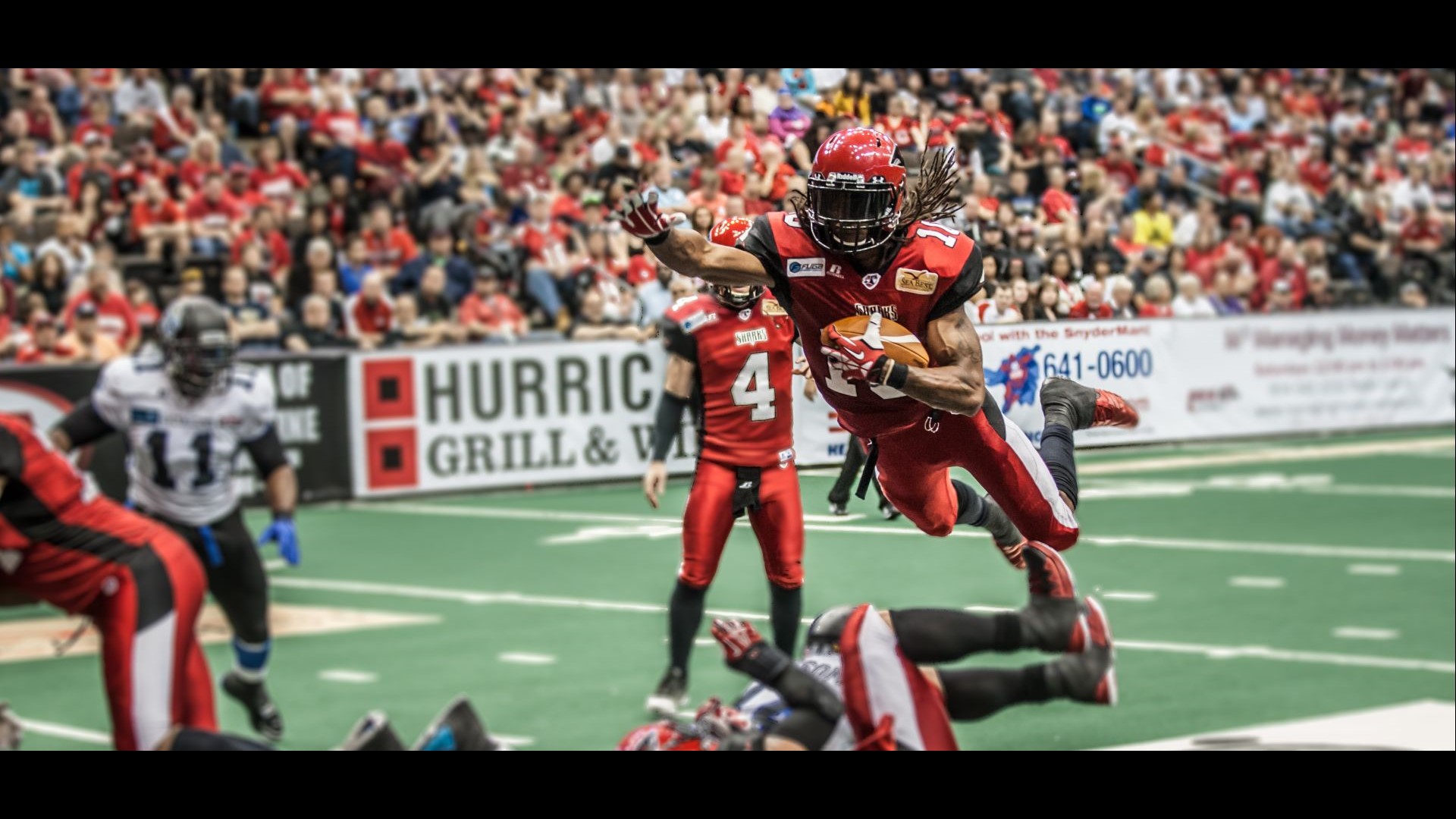 Jacksonville Sharks advance to second NAL Championship game