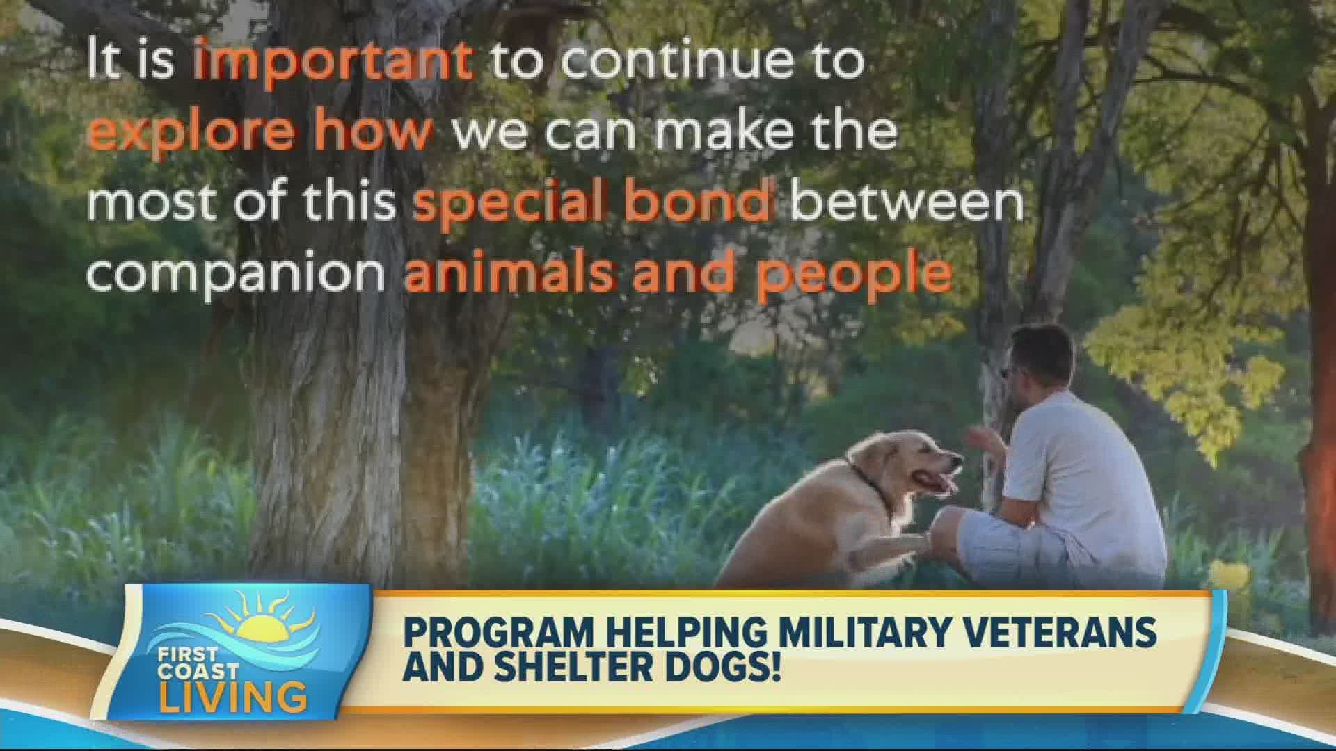 Learn more about an initiative designed to help our pets and veterans!