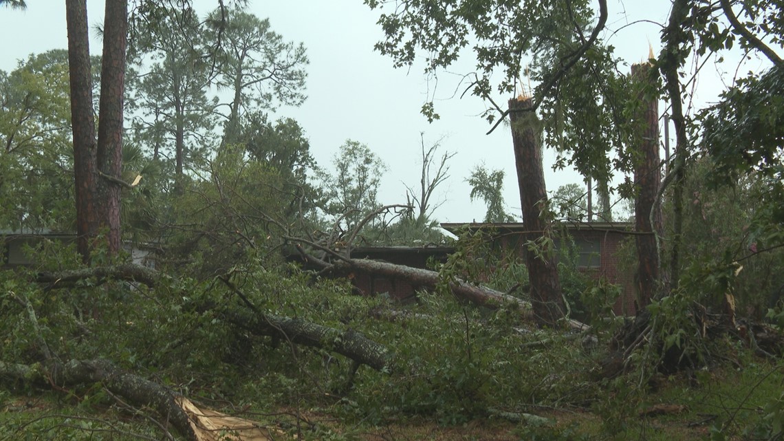 Severe thunderstorm rocks San Jose neighborhood - Vimarsana News