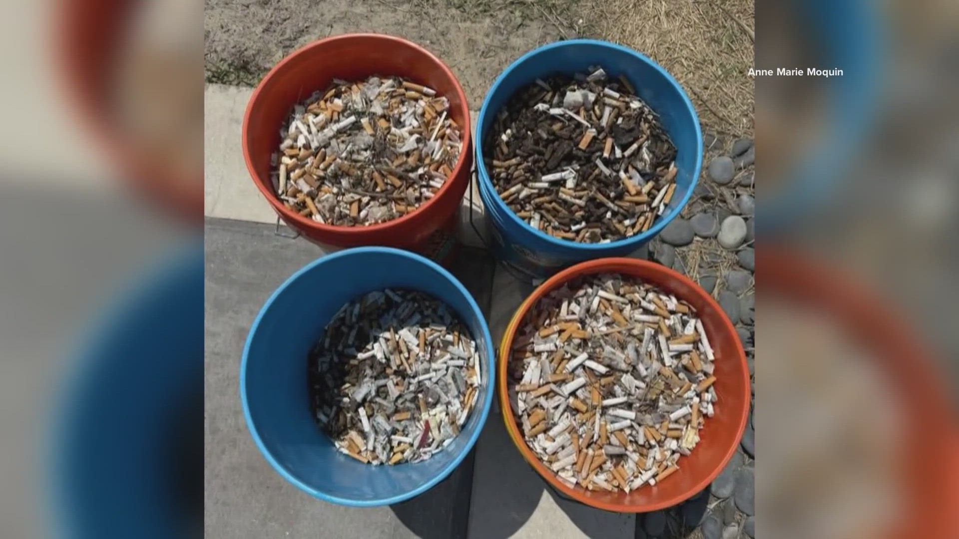 Hundreds of volunteers with Beaches Go Green collected more than 18,000 cigarette butts from across First Coast beaches on Saturday.