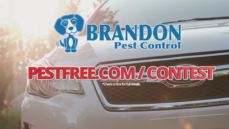 2 Year Car Lease >> Enter To Win A 2 Year Car Lease From Brandon Pest Control 2 Year Car Lease >> Enter To Win A 2 Year Car Lease From Brandon Pest Control