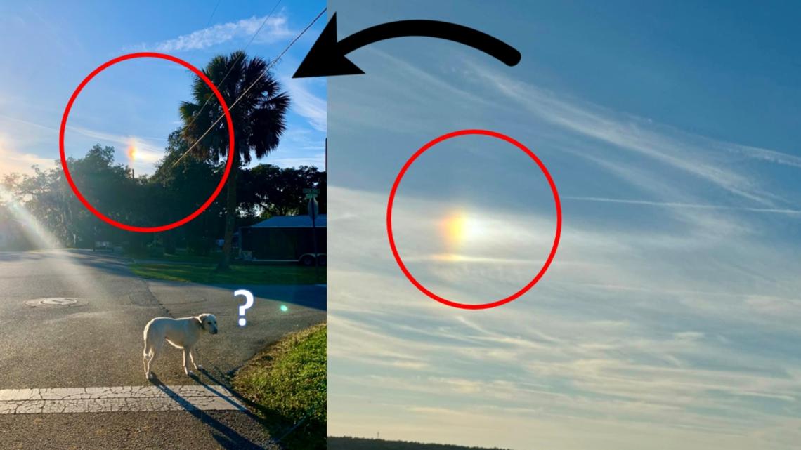 How can I spot a sundog in Jacksonville? | firstcoastnews.com - Vimarsana News