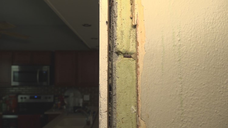 'I'm at wits end' | Home renter alleges landlord neglected poor living conditions for months leading to mold growth