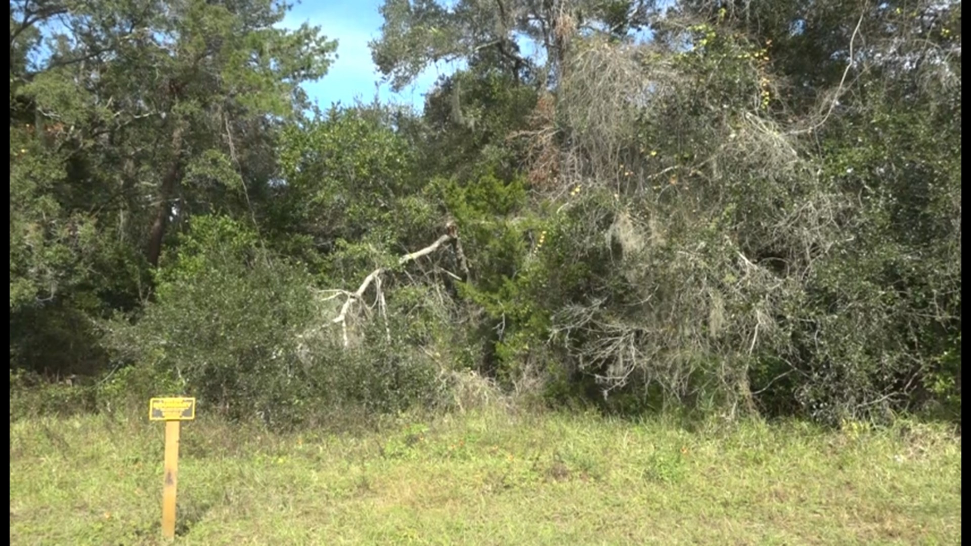 A state board has decided that a parcel of land that the city of St. Augustine wanted to use for a new fire station will remain undeveloped.