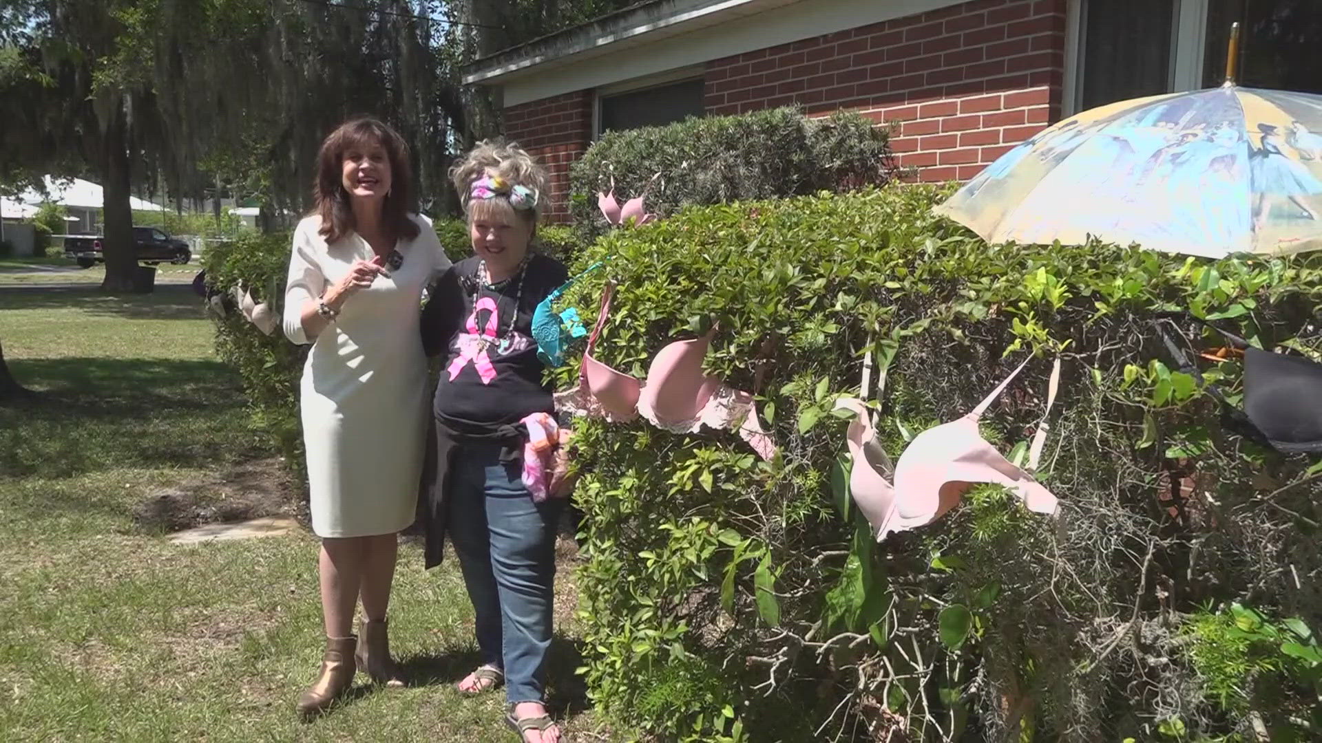 Dana even made a 'Buddy Bra' to help raise money for a new mobile mammography unit.