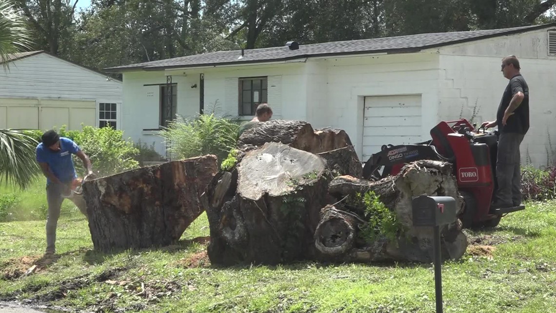 Military veteran wants reimbursement after tree service job delay