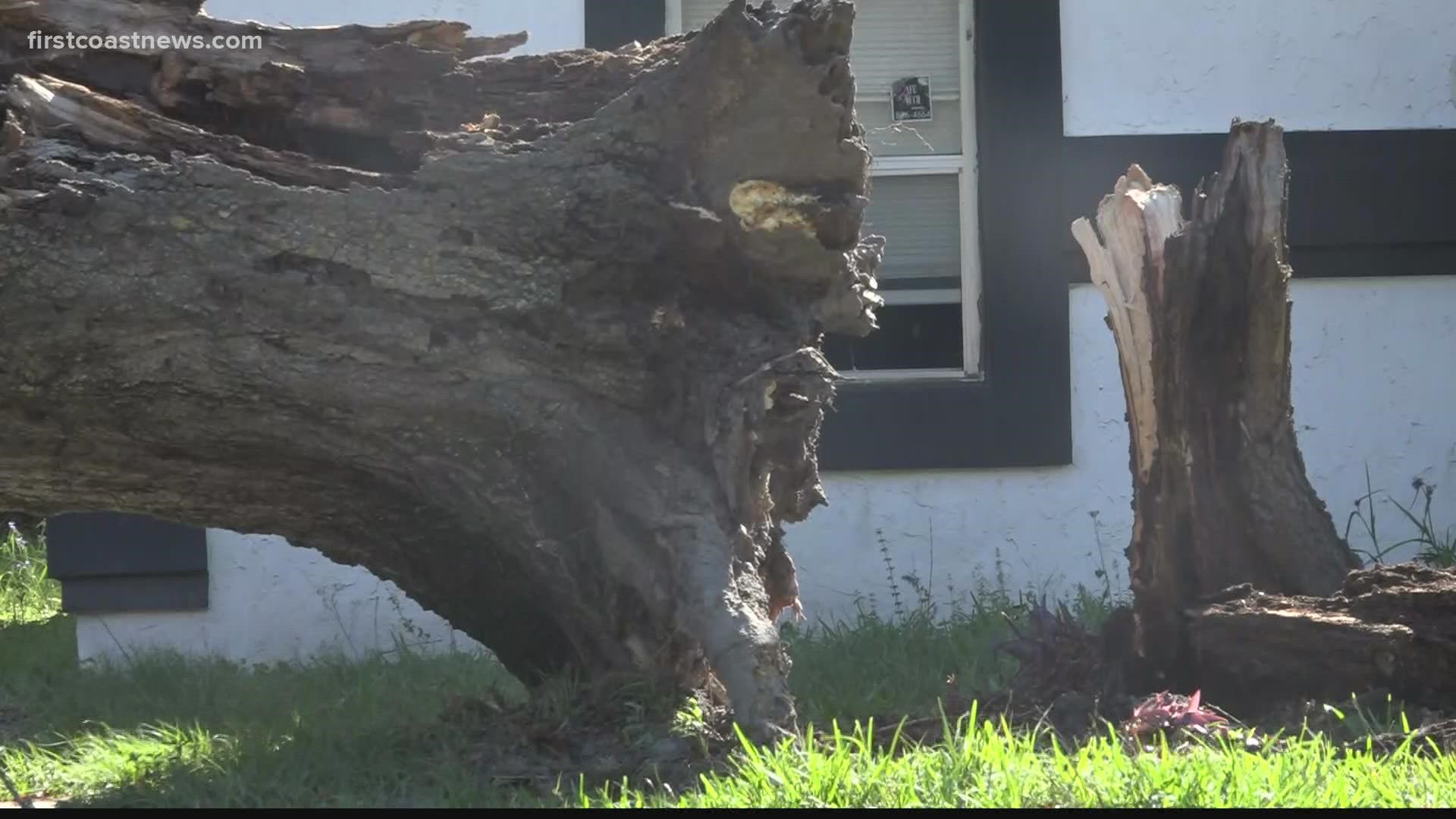 A tree service company says this operation has to be done slowly to make sure no more of the property gets damaged.