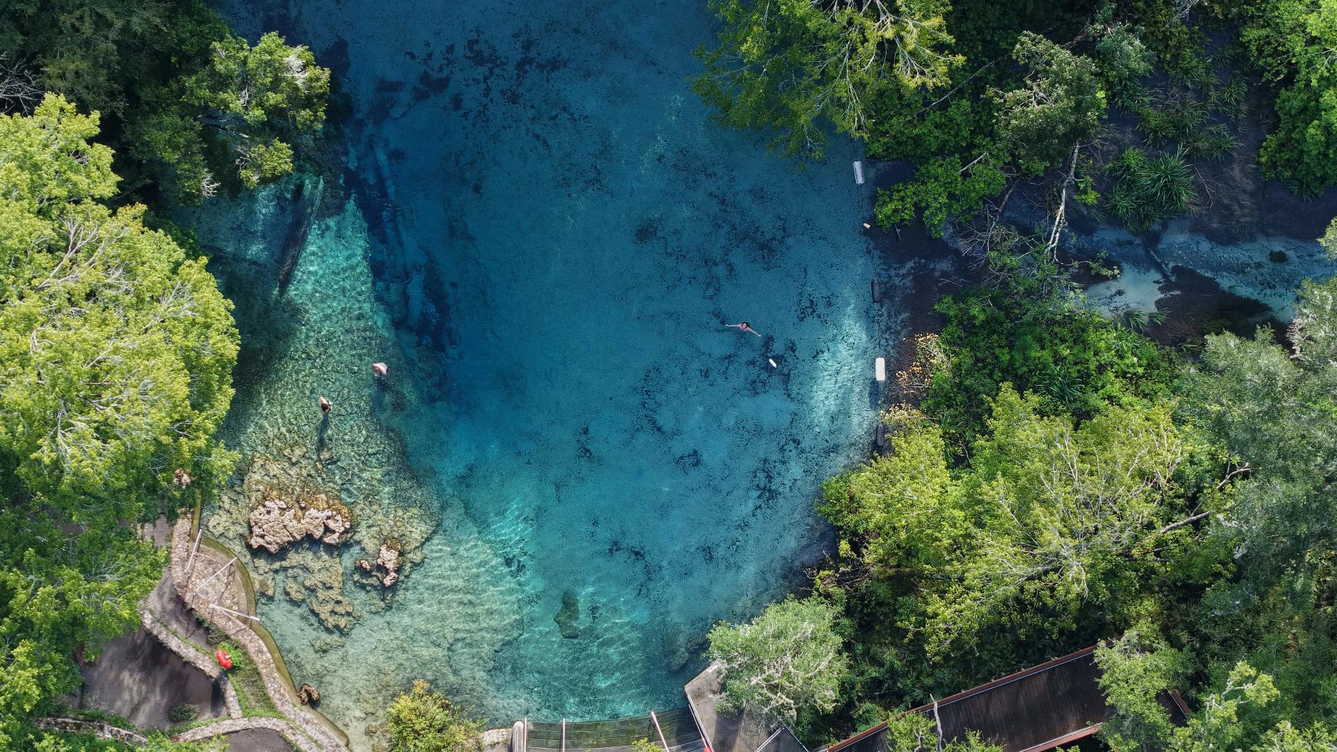 Park Spring Day Park visitor found dead in Ichetucknee Springs: CCSO | firstcoastnews.com