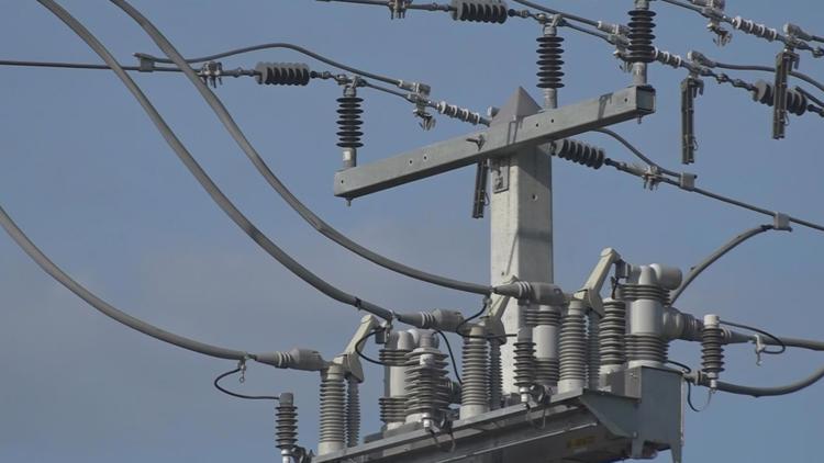 Request for state investigation into Florida's largest electric utility, Florida Power and Light