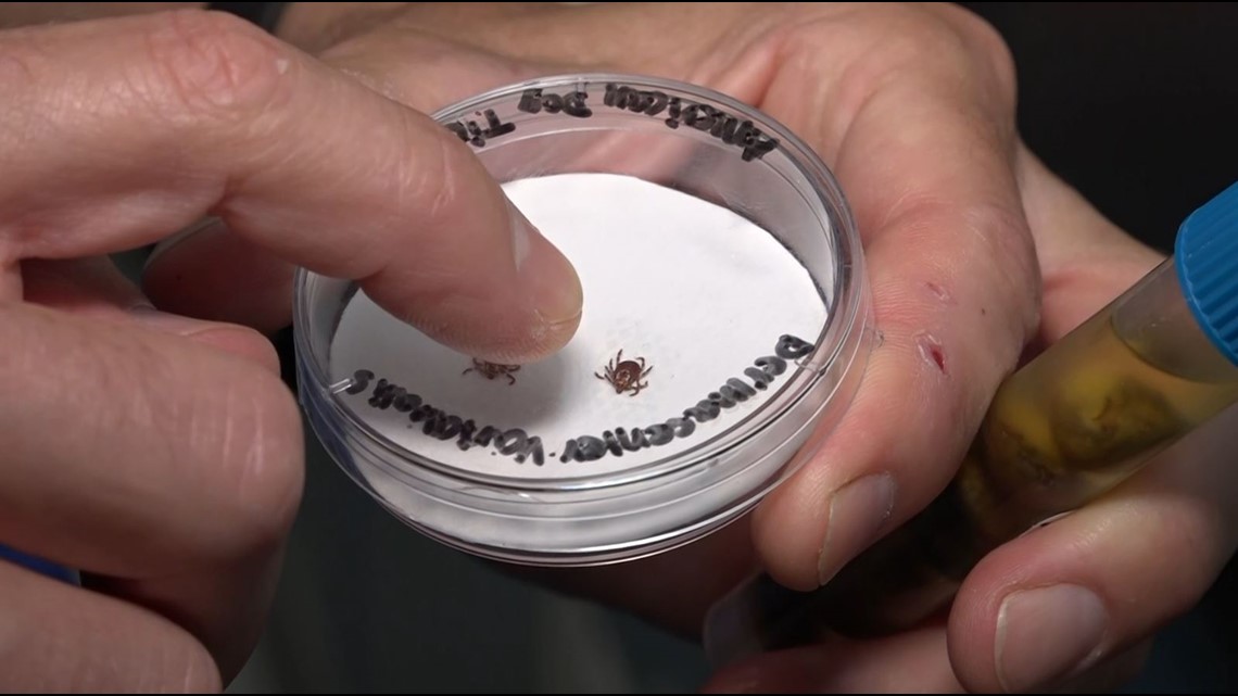 Florida Lyme disease patients say - Cd2b3aea Ef3d 441e 90c8 Ac1d069695ff 1140x641 