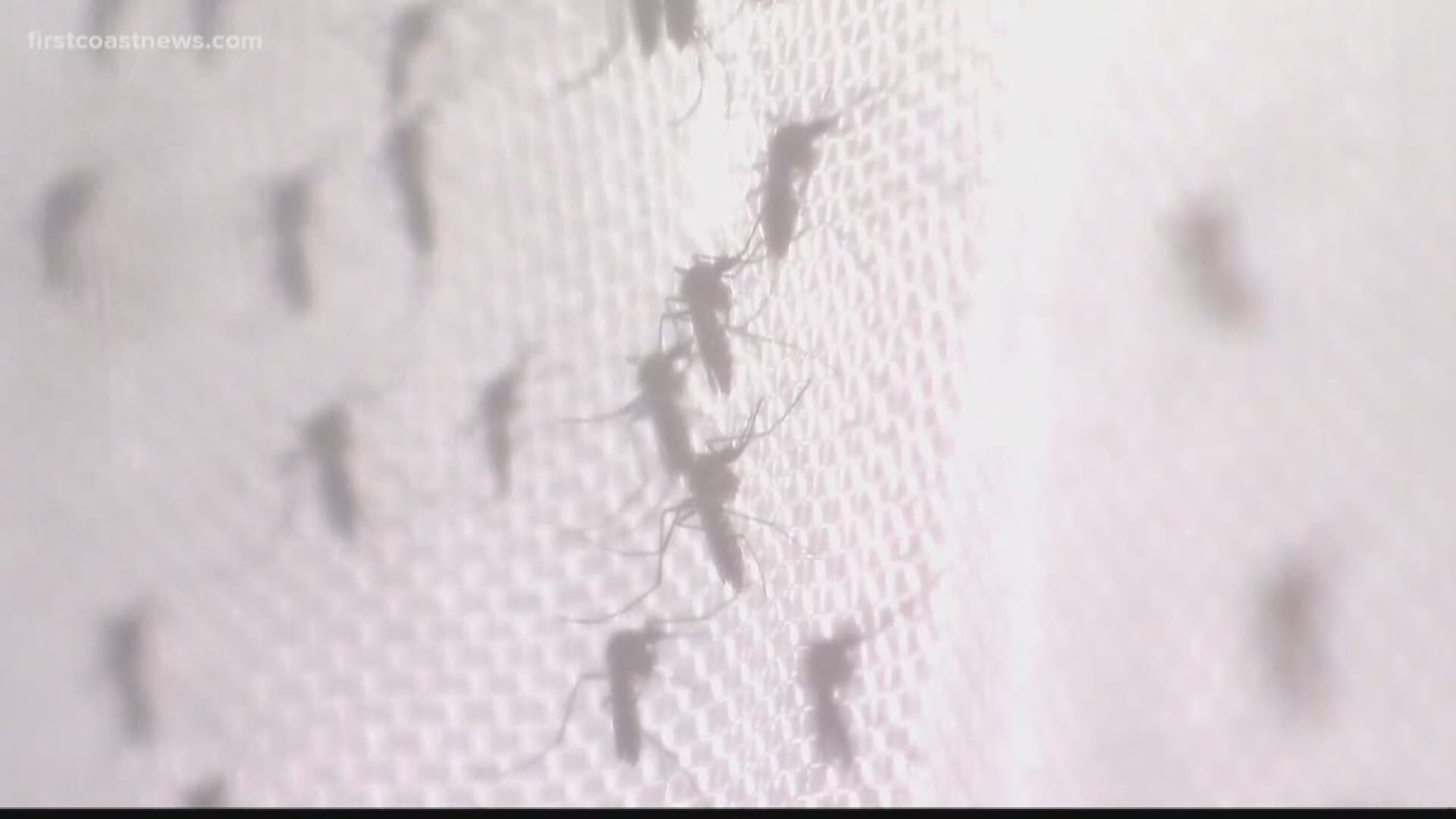 Two more human cases of West Nile virus have been identified in Duval County.