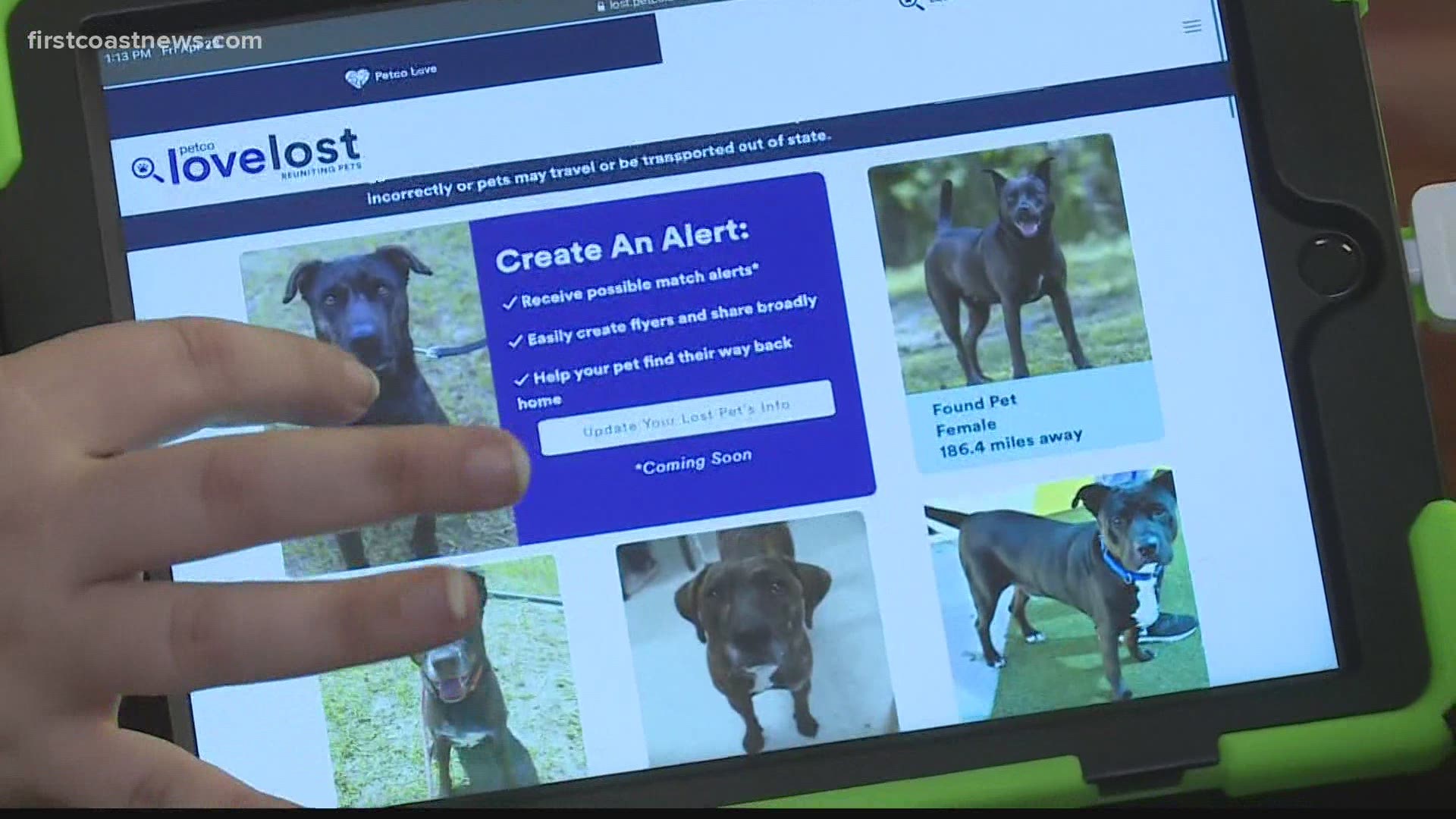 Jacksonville Humane Society takes part in launch of national lost pet database using facial recognition