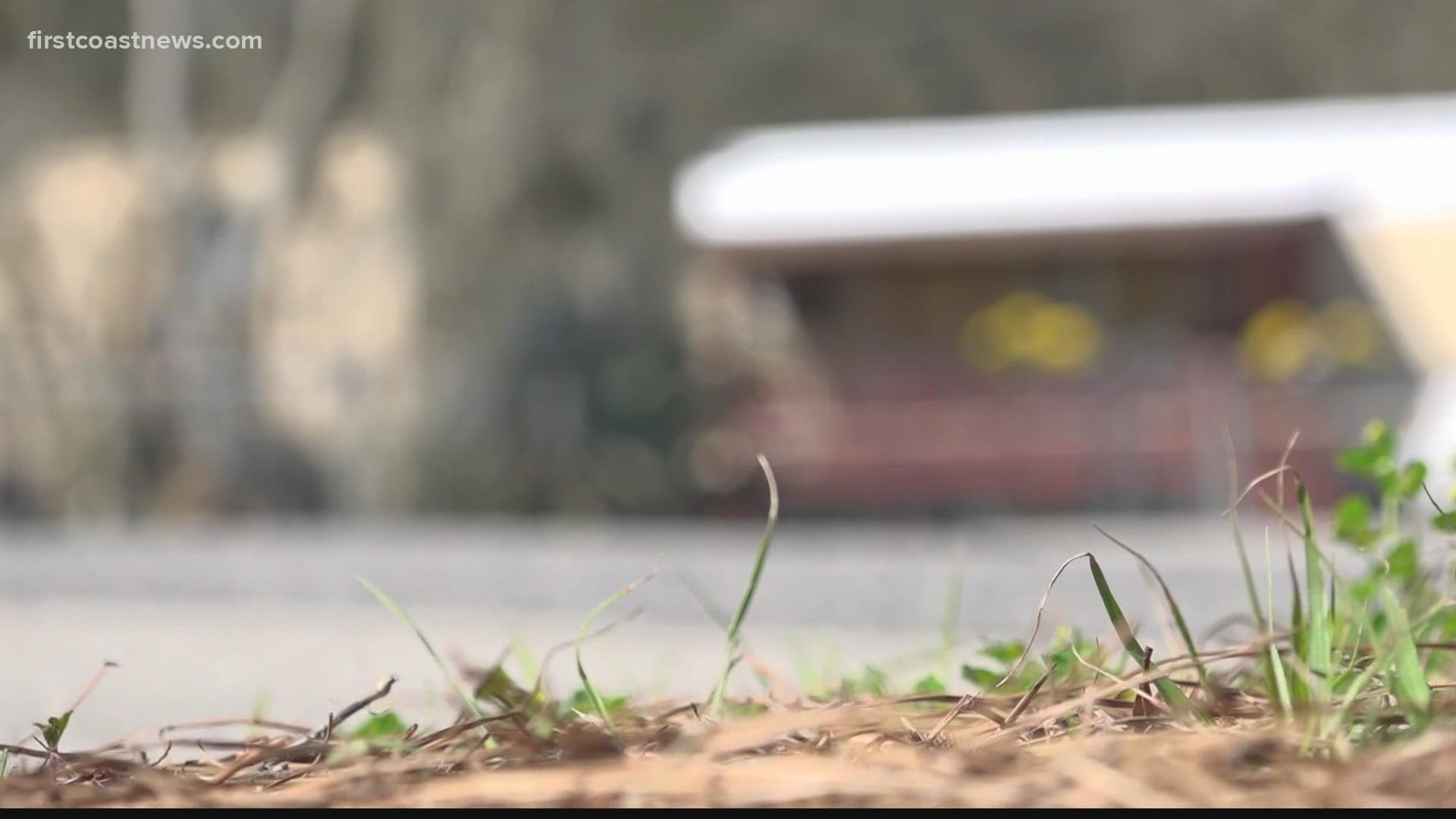 One resident told First Coast News multiple people were hit by cars on that road.