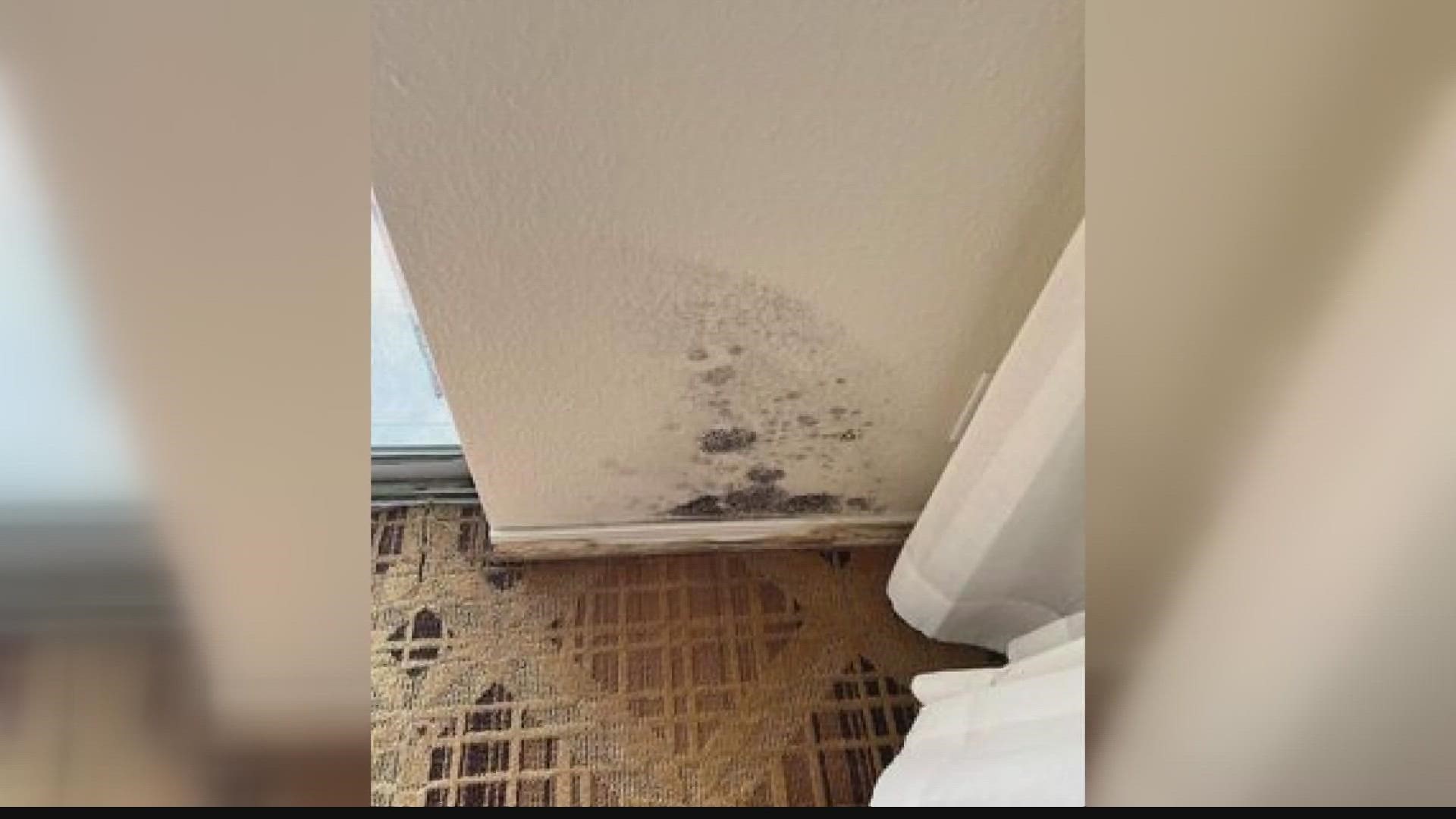 A family from the Mandarin area of Jacksonville spotted black mold in their room at the Sawgrass Marriott in Ponte Vedra Beach.