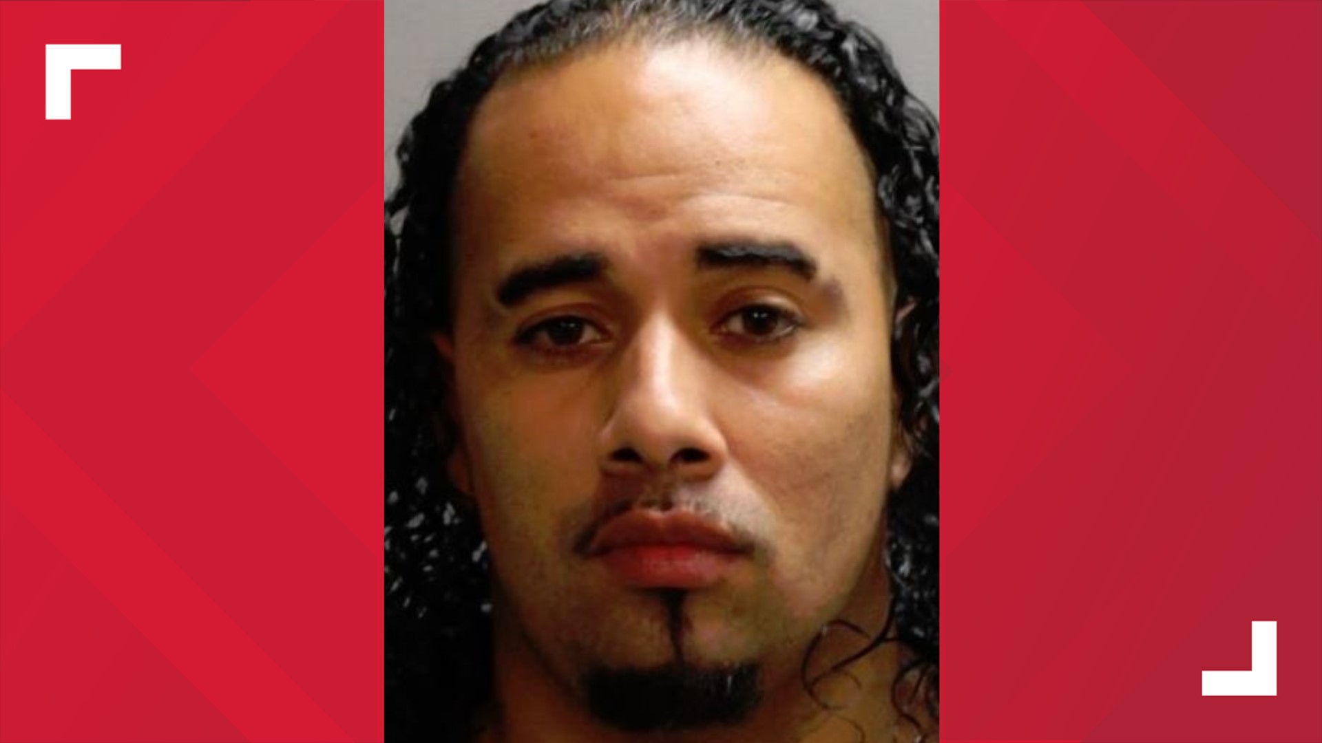 Street racing arrest made snake in the car