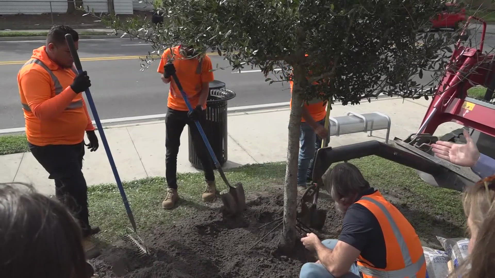 The city & the Jacksonville Transportation Authority are 11 trees short of achieving their goal of planting 2,500 to ensure safety and provide ecological benefits.