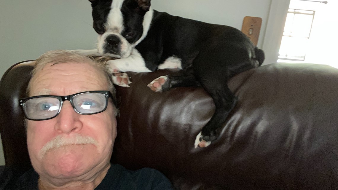'I just want her back': Man pleads for safe return of emotional support dog - Vimarsana News