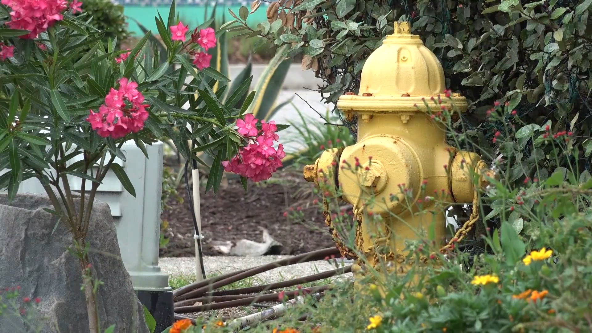 Vilano Beach residents question fire hydrant access after house fire ...