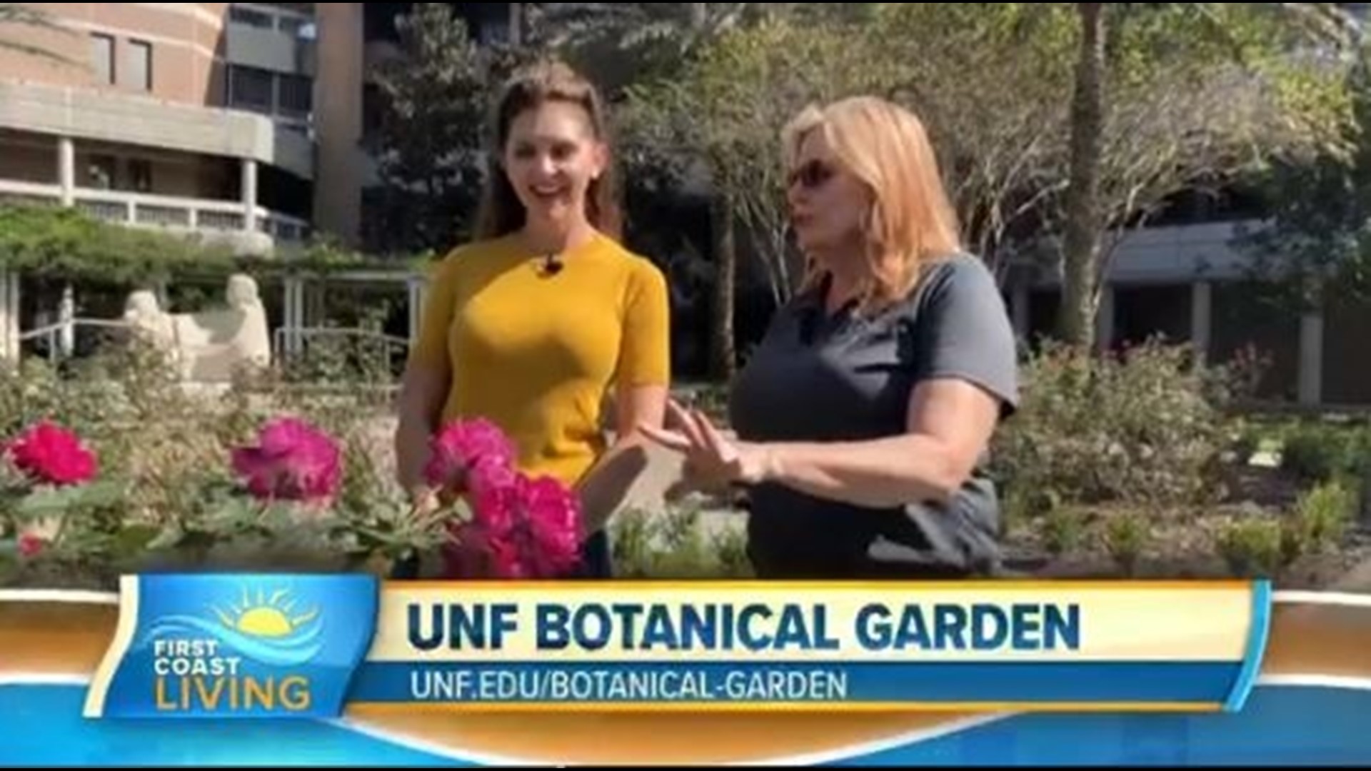 UNF Horticulturist and Botanical Garden designer, Rhonda Gracie takes Jordan Wilkerson on a tour of the beautiful and relaxing UNF gardens.