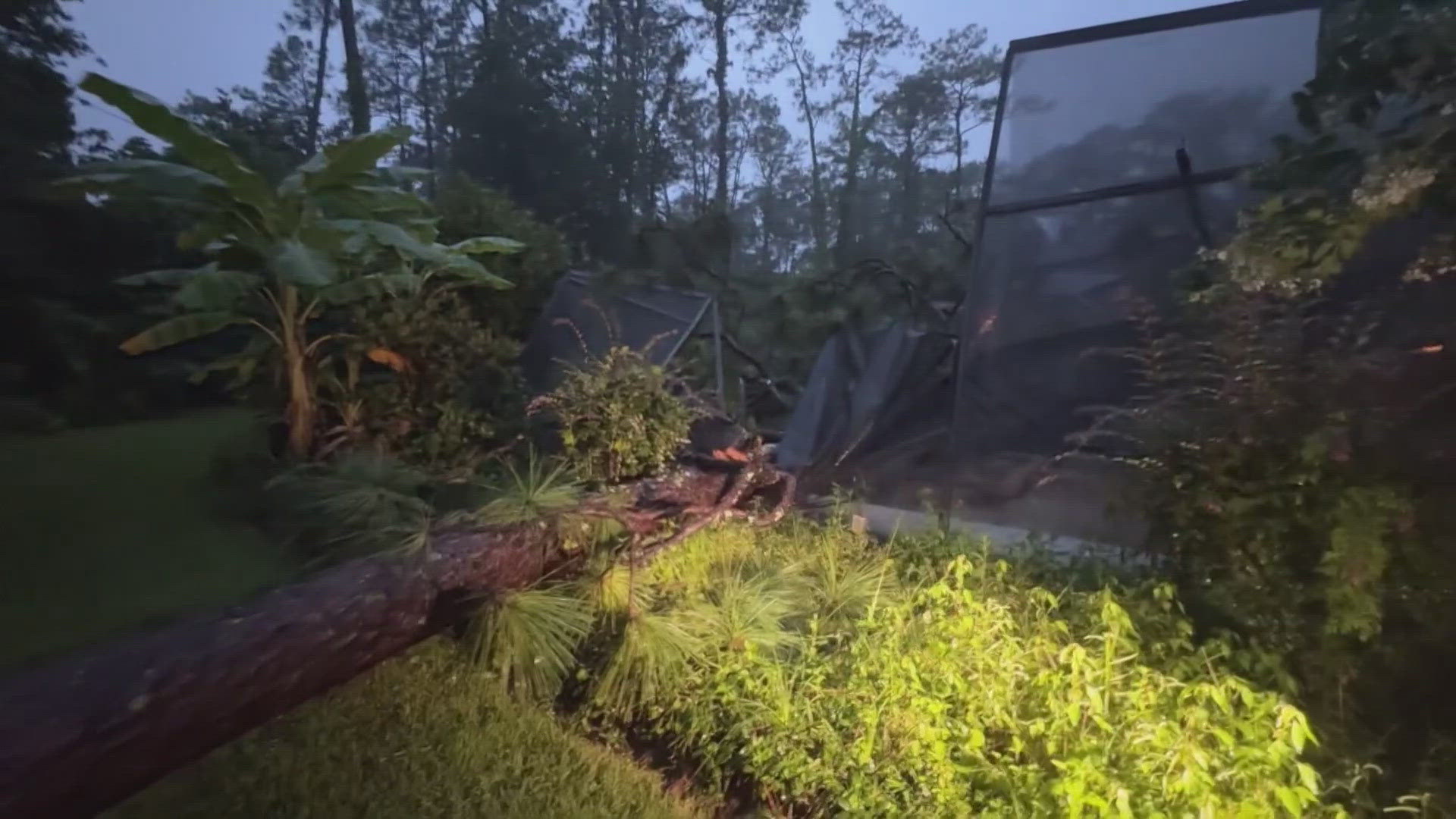 The Lanai around his pool was crushed under the tree.