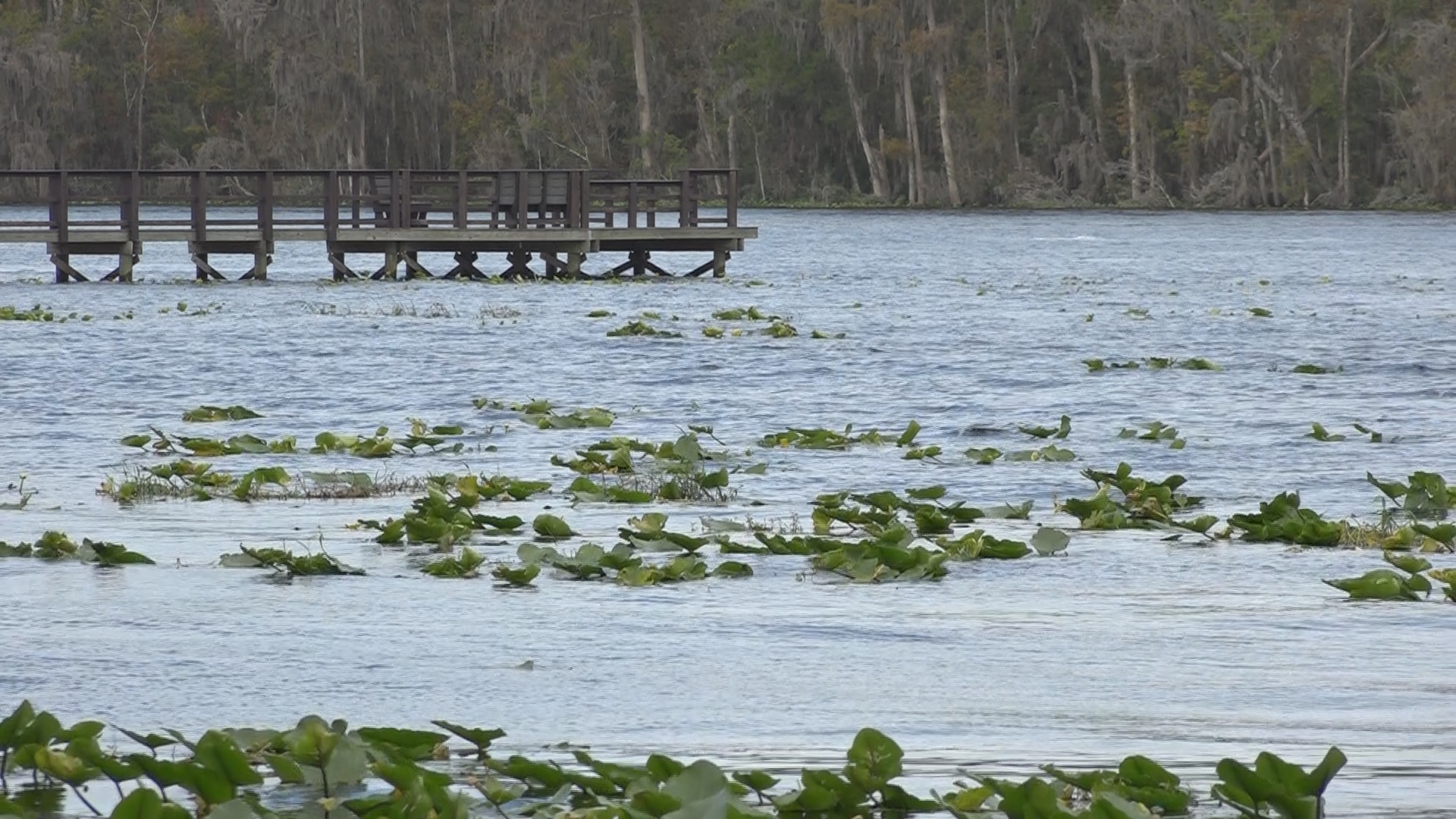 Clay County leaders seek help from voters to create land conservation
