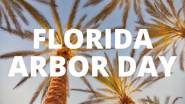 Happy Arbor Day, Florida! Here are 10 tree-mendous facts