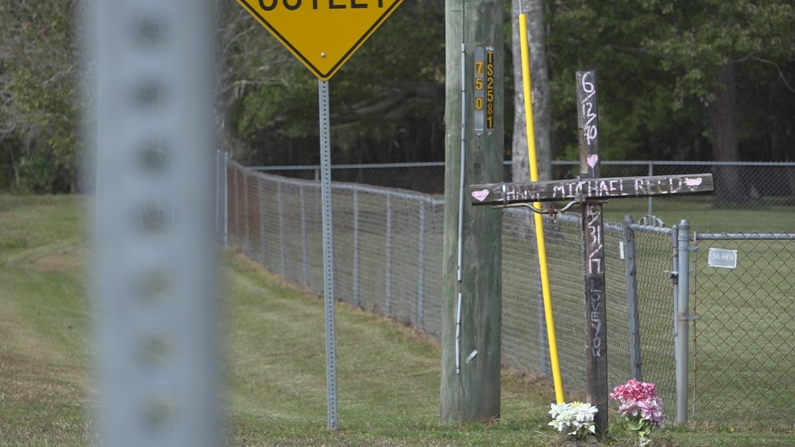 Jacksonville mother of hit-and-run victim killed on Halloween - Vimarsana News