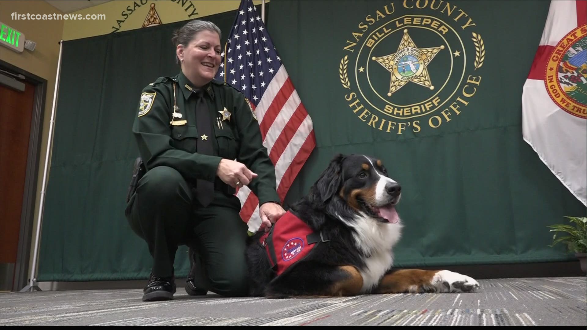 Comfort dog joins Nassau County Sheriff's Office