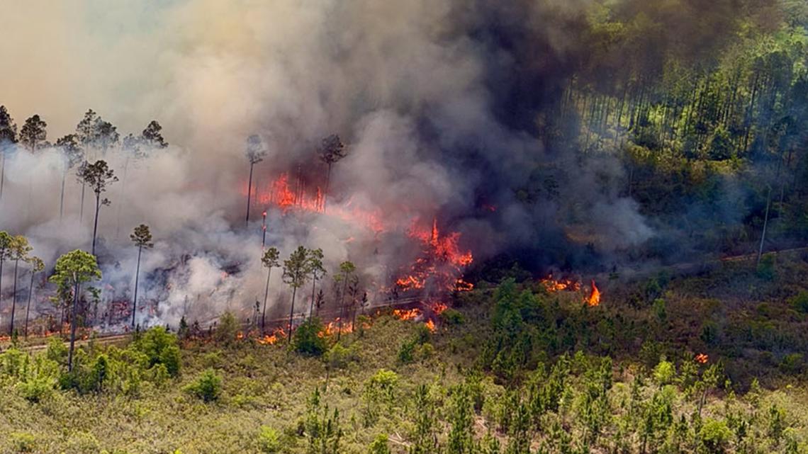 'Fast-moving' brush fire reported in Putnam County