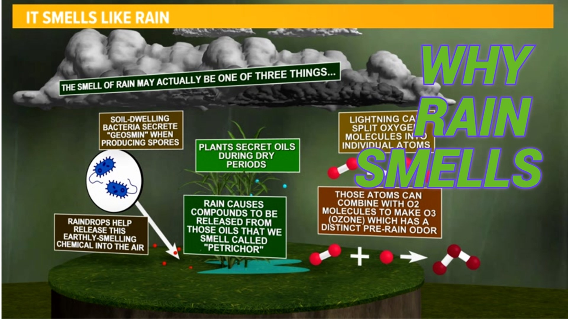 In essence, the distinctive petrichor scent of rain is a result of complex interactions between the Earth's atmosphere, soil and a variety of natural elements.