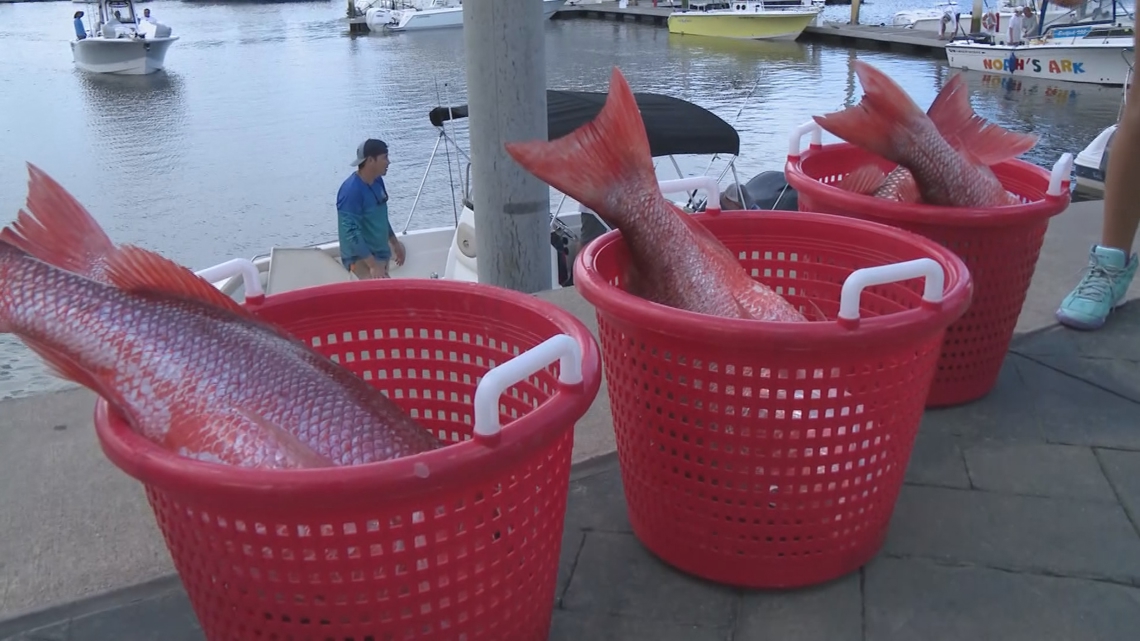 Judge ruling ends Florida's red snapper season before it even has a chance to begin
