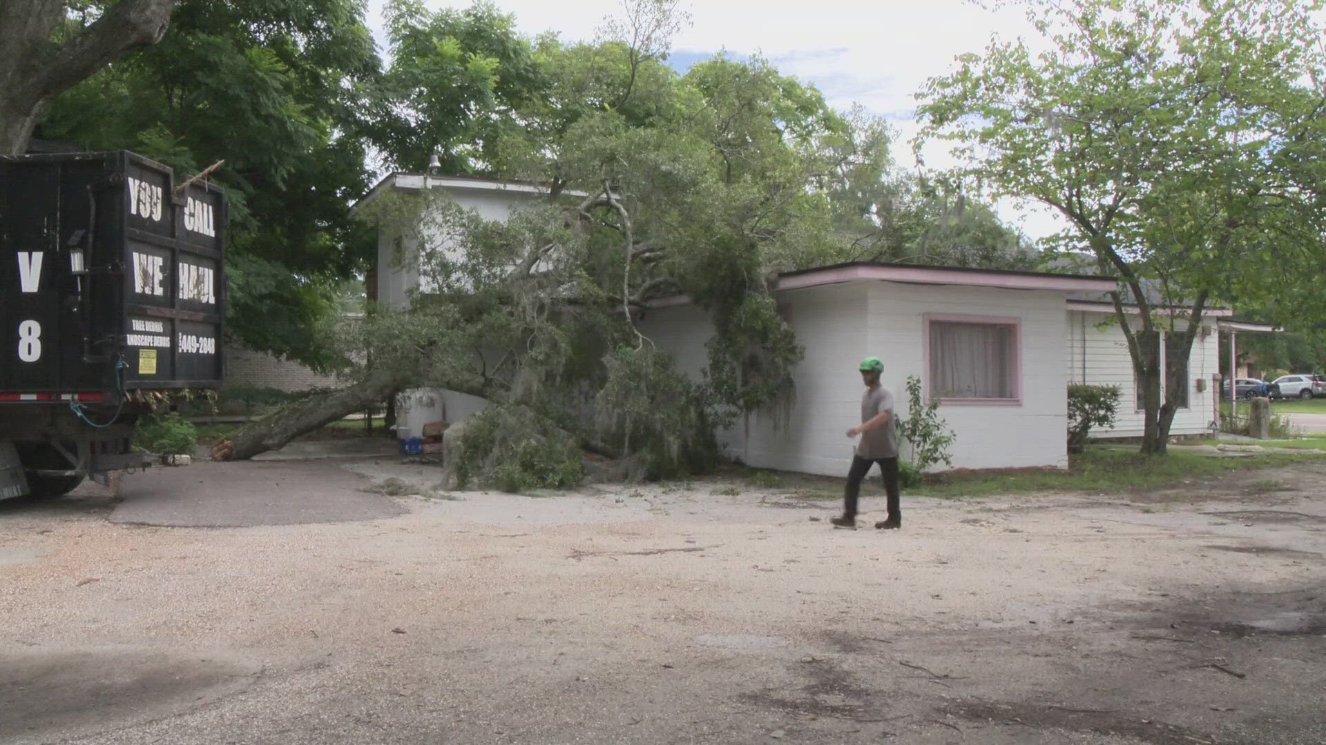 A restaurant is closed after part of tree fell overnight, crashing through the roof and breaking into the dining room