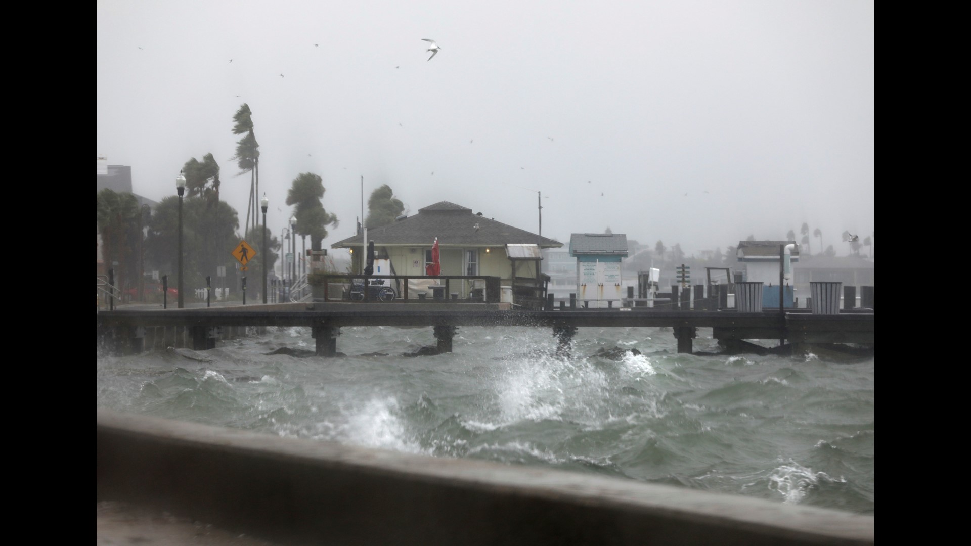 Photos: Tropical Storm Eta Flooding, Damage Across Florida ...