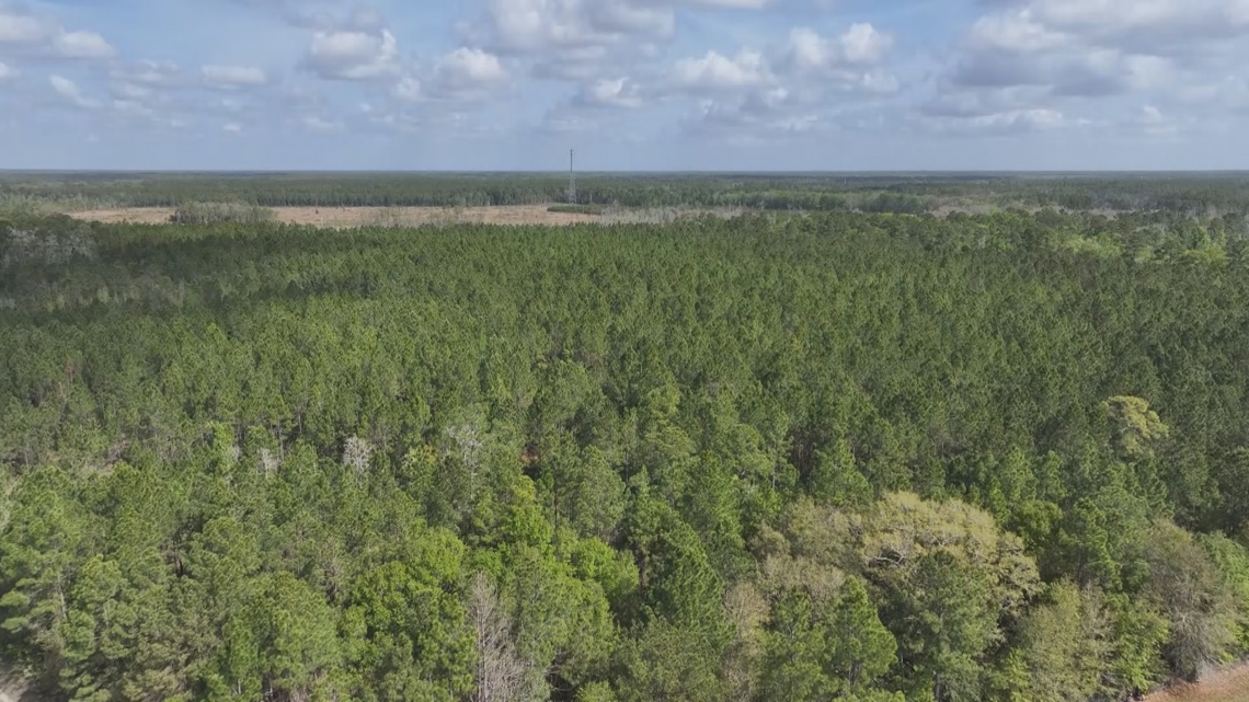 Energy company's CEO says he wants to build solar farm, not data center in Nassau County