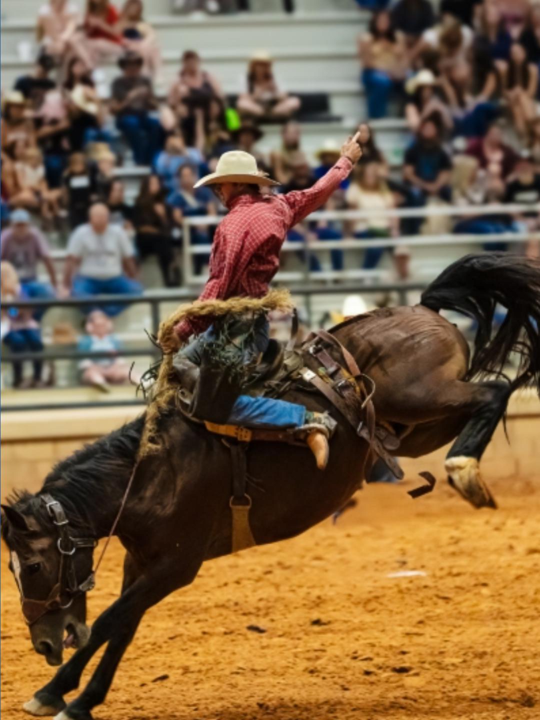 Rodeo coming to St. Augustine | firstcoastnews.com