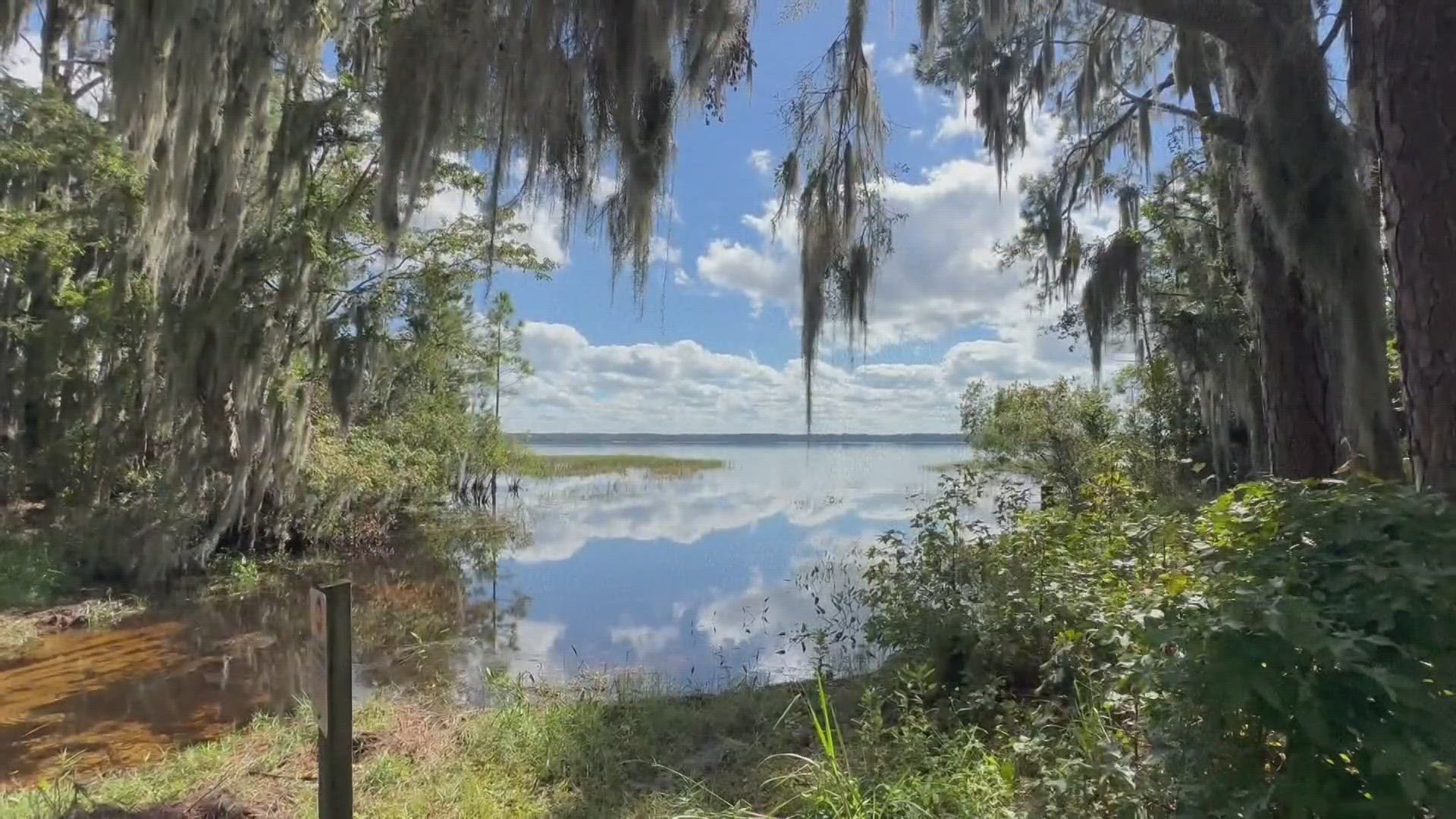 Looking for a place to hunt, camp at on the First Coast? Check out Ocean  Pond at Osceola State Park! 