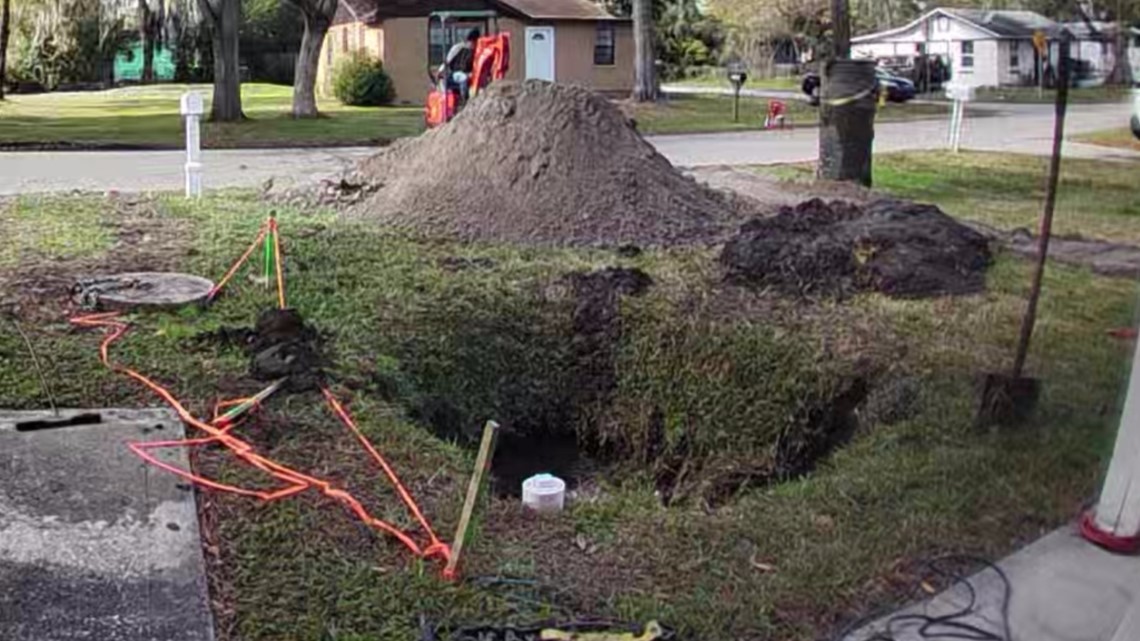 Jacksonville couple finds surprise in front yard - Vimarsana News