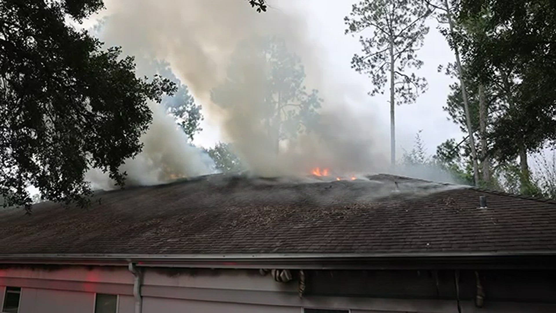 Plumes of smoke at the Exotic Pet Hospital.