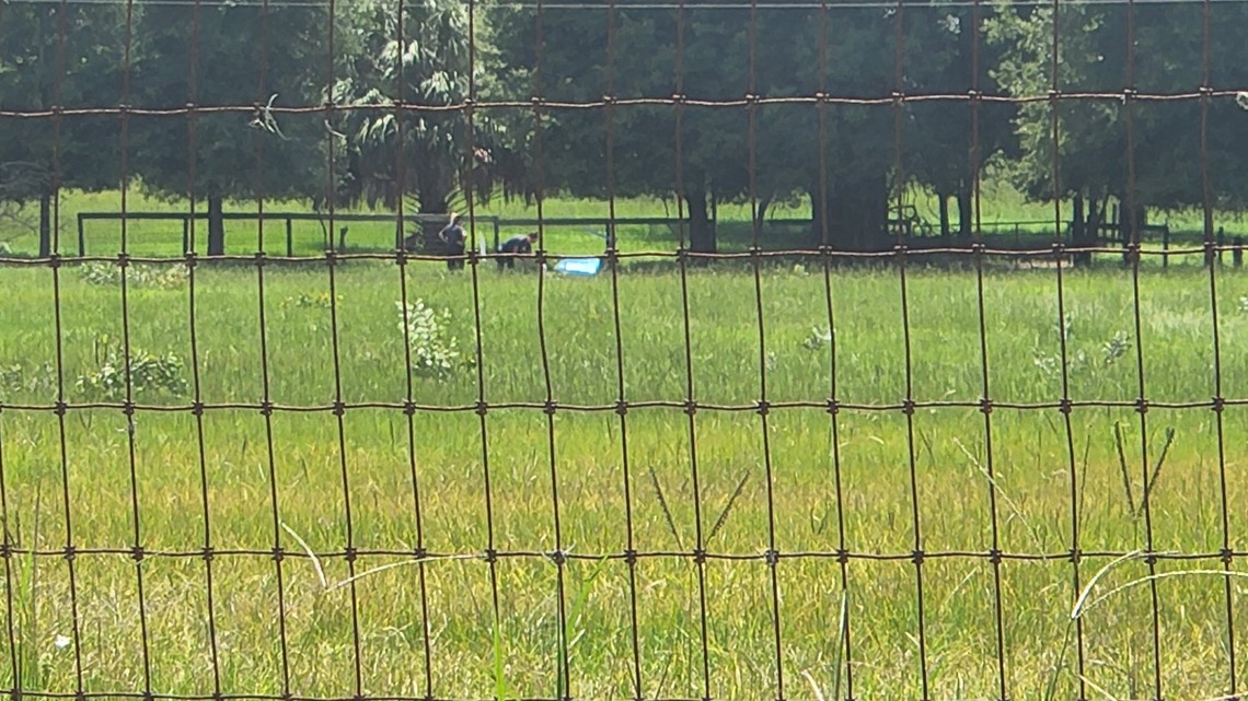 Lost dog reunited with Jacksonville family