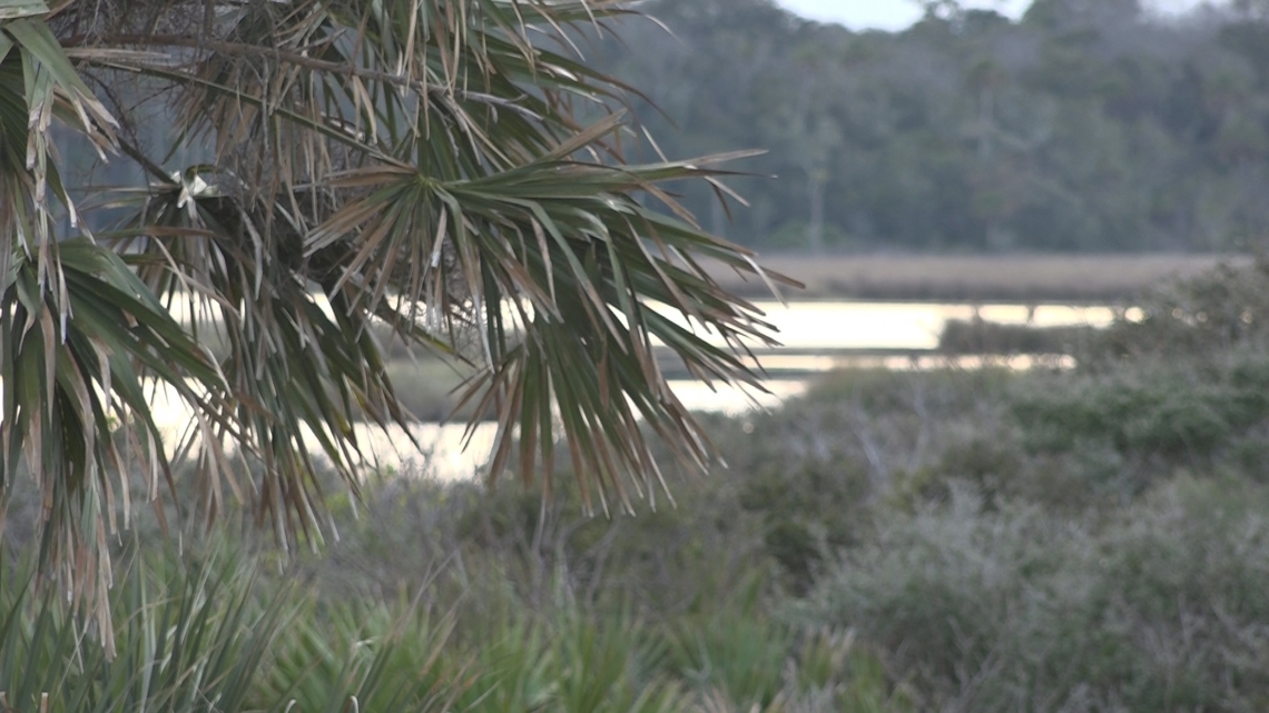 Florida bill takes aim at land swap rules after Guana River Preserve controversy