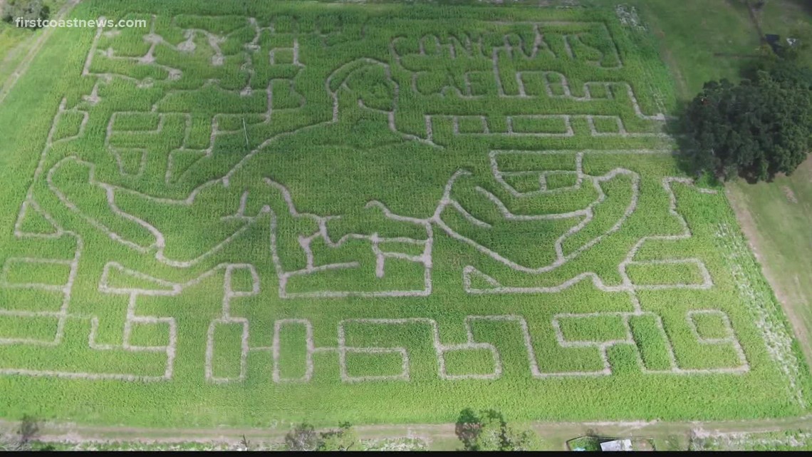 Giant crop maze in North Florida honors decorated Olympian