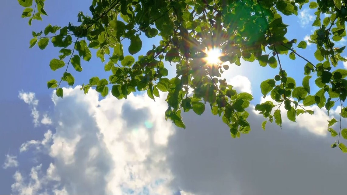What is the "chemical-like" odor in Florida? | firstcoastnews.com - Vimarsana News