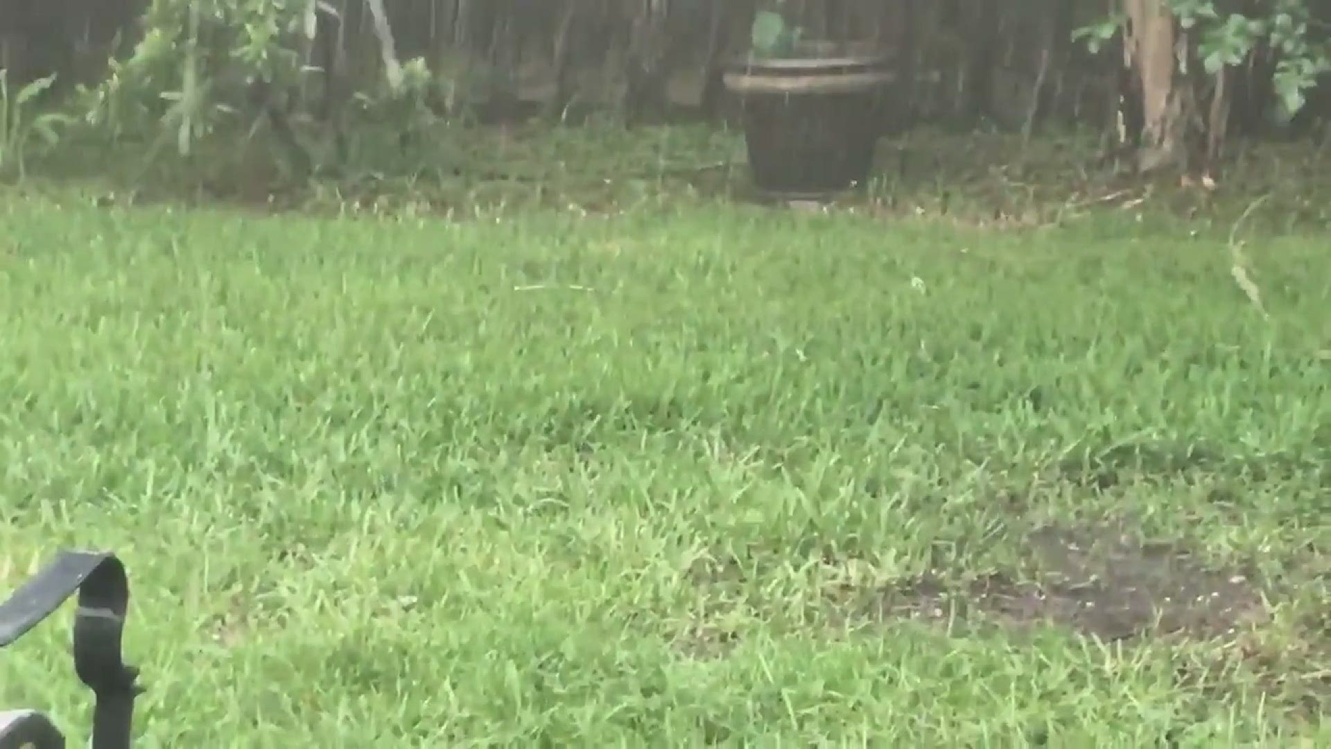 Viewers sent First Coast News pictures and video of hail in the area.